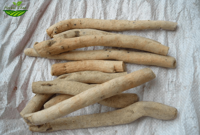 White Peony Root