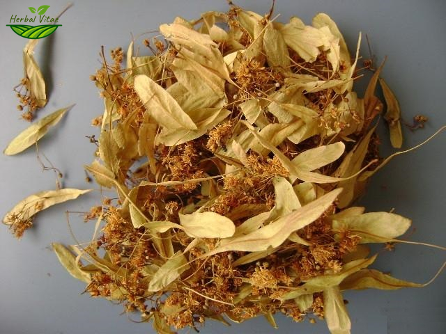 Linden Flower