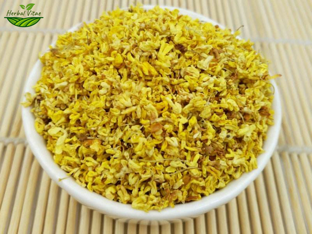 Sweet Osmanthus