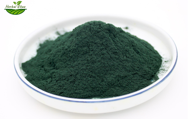 Spirulina Powder