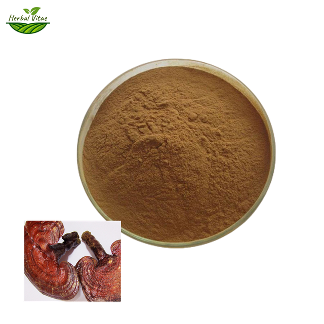 Reishi Mushroom Extract Powder