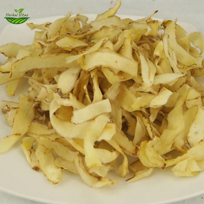 玉竹2