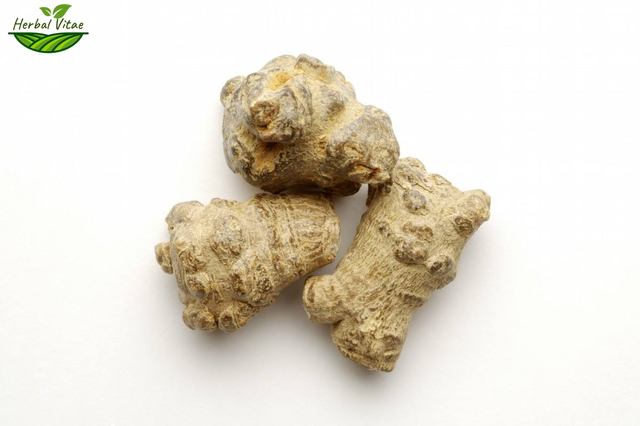 Notoginseng