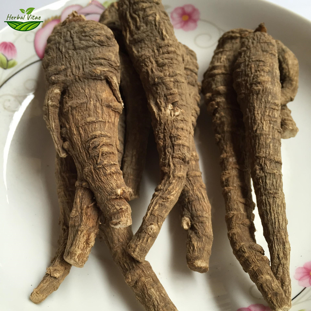 Angelica Root