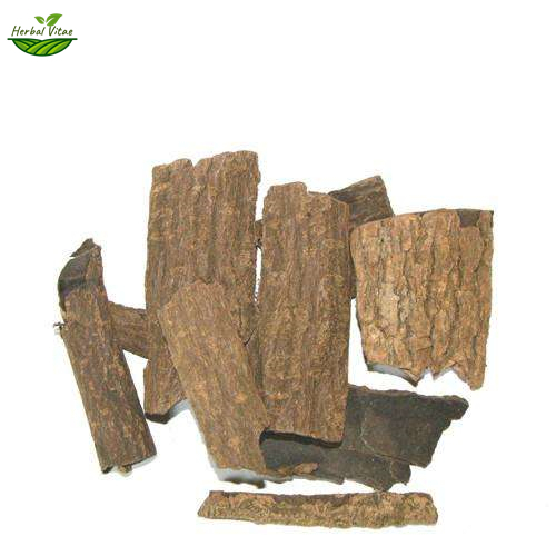 Eucommia Bark