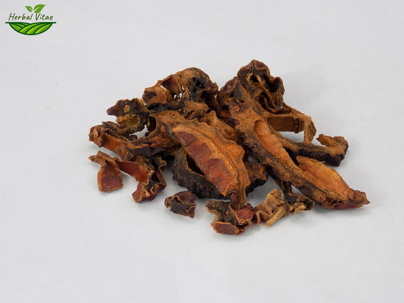 Papaya---tea herb