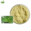 Aloe Vera Extract Powder