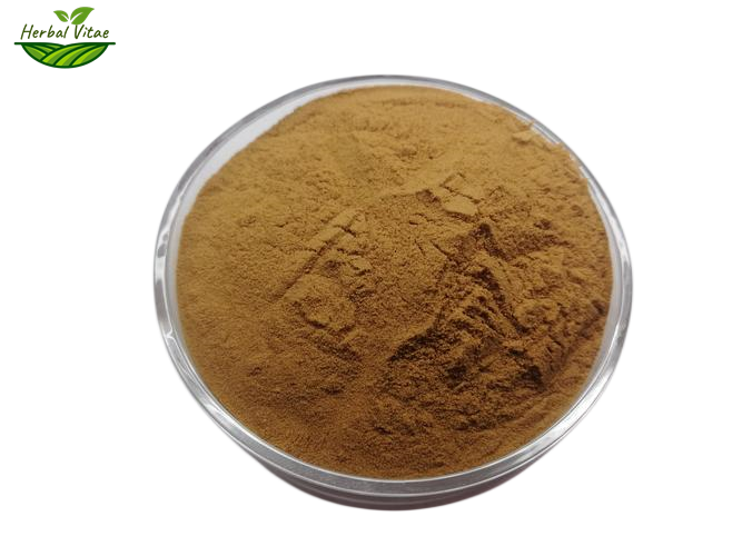 Common Sage Extract Powder