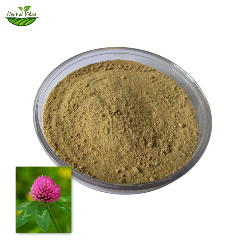 Red Clover Extract Powder 