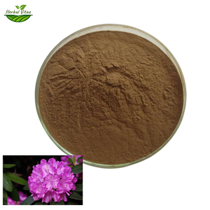 Rhododendron Extract Powder