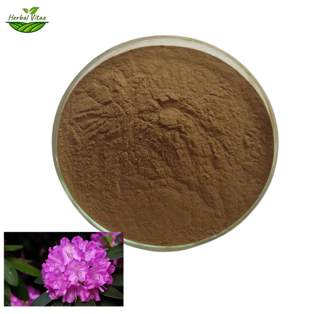 Rhododendron Extract Powder