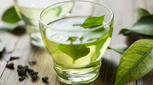 green tea polyphenols supplier-herbal vitae.jpeg