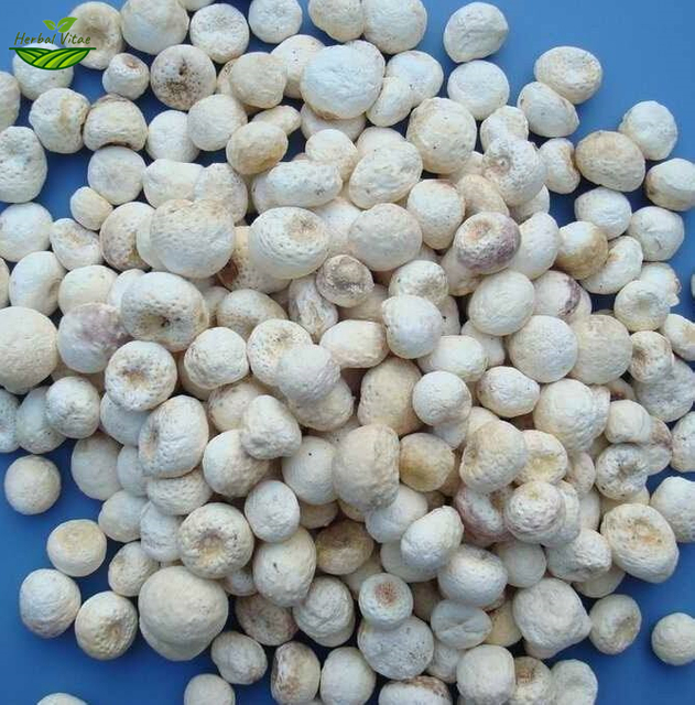 Pinellia Tuber