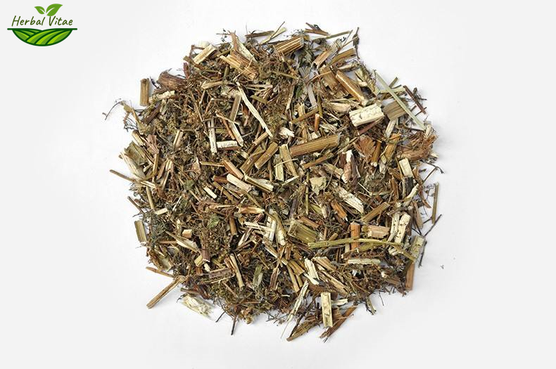 Sweet Wormwood