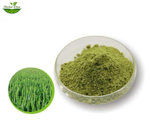 Barley Seedling Green Powder