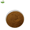 Basil Extract Powder