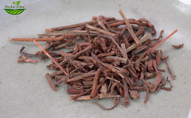 India Madder Root