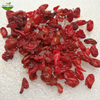 Cornus Officinalis
