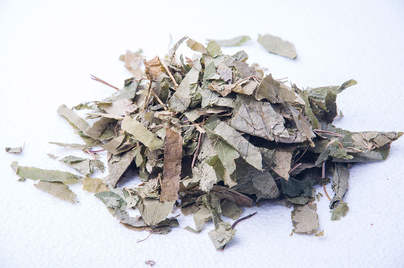 84淫羊藿hornt goat weed