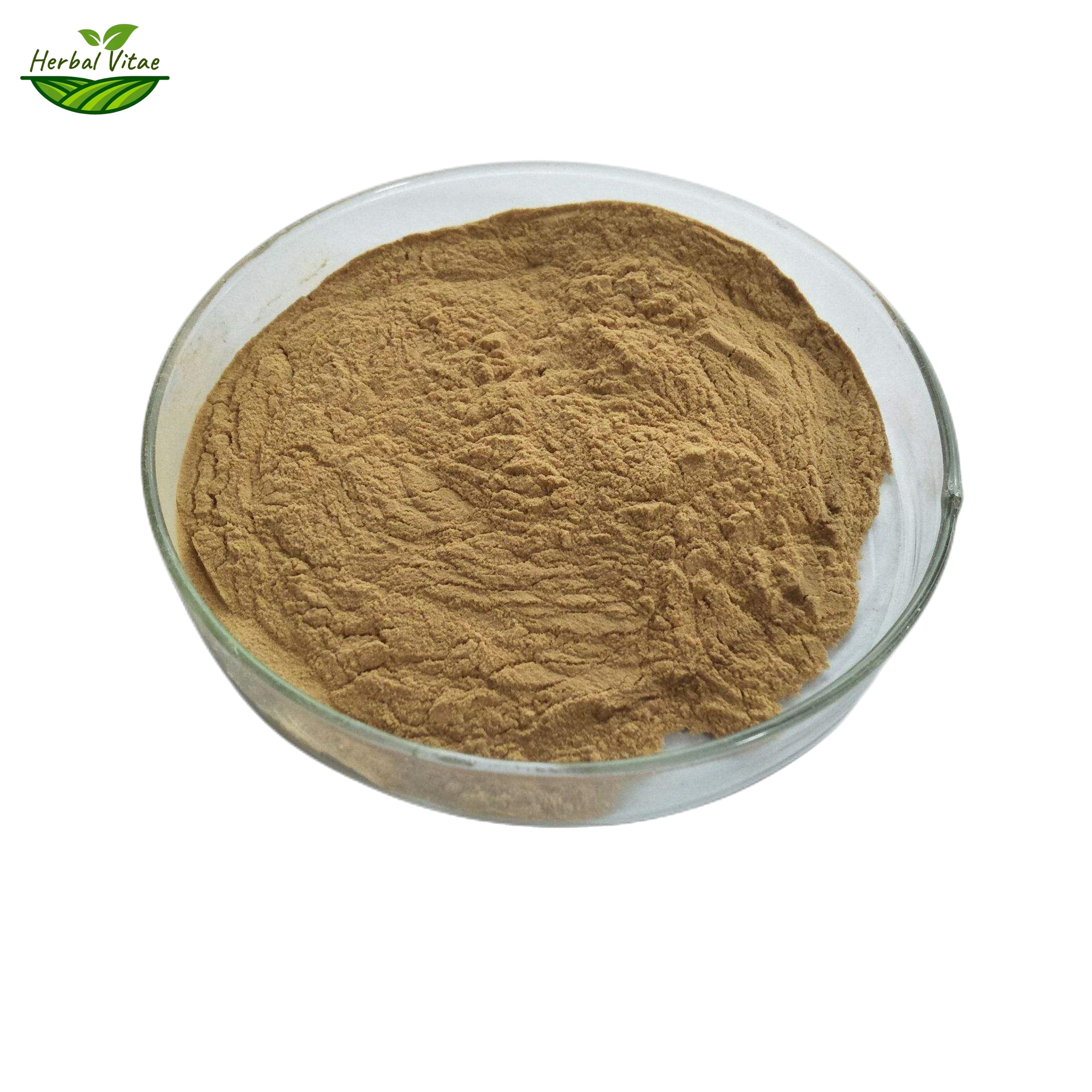 Cleavers Herb Extract Powder