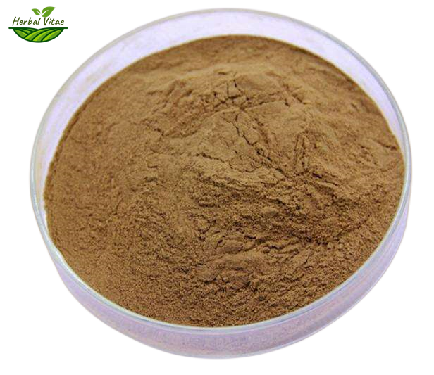 Schisandra Extract Powder