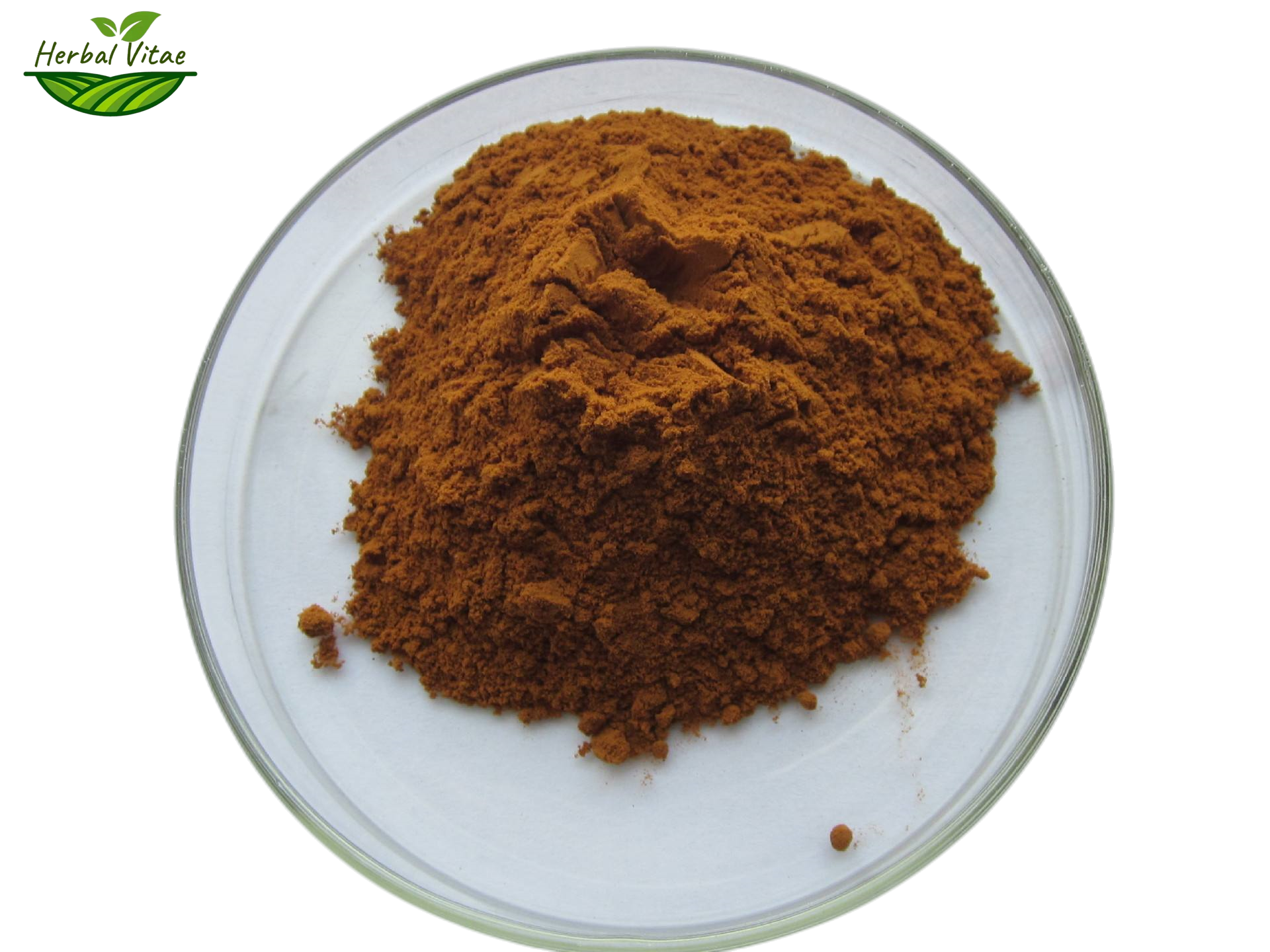 Rhodiola Rosea Extract Powder