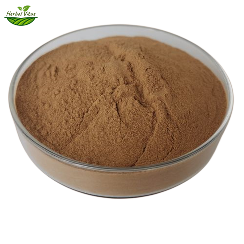 Marshmallow Root Extract Powder 