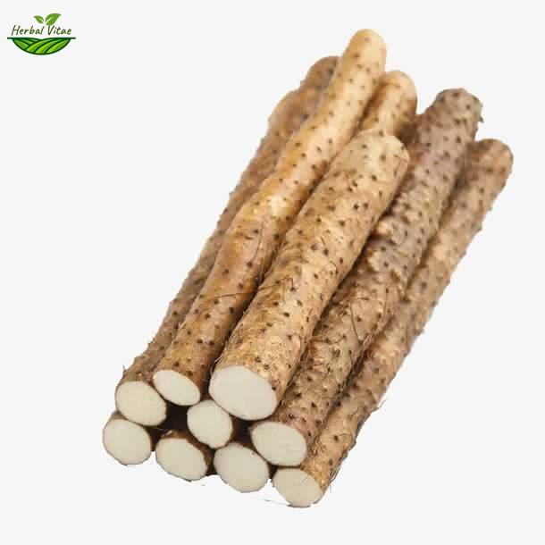 Chinese Yam
