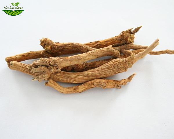 Baikal Skullcap Root