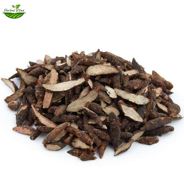 Nut Grass