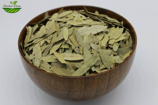 Dried Senna Leaf