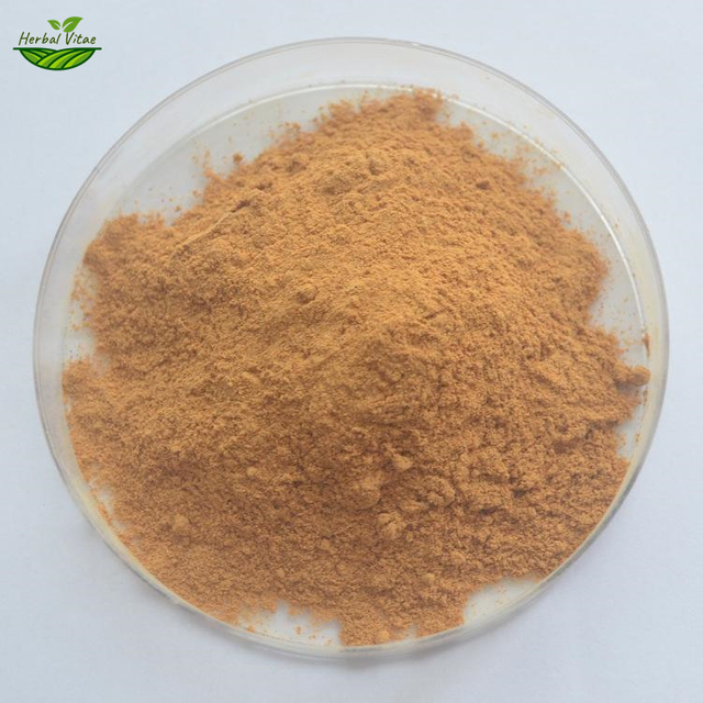 Cordyceps Mycelium Powder