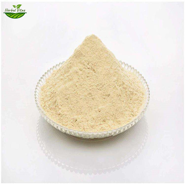 Lion's Mane Powder