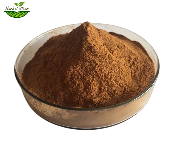 Goldenrod Extract Powder