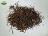Clematis Root