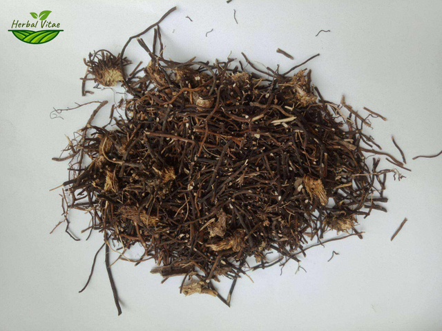 Clematis Root