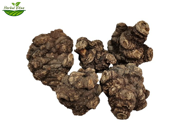 Szechwan Lovage Rhizome