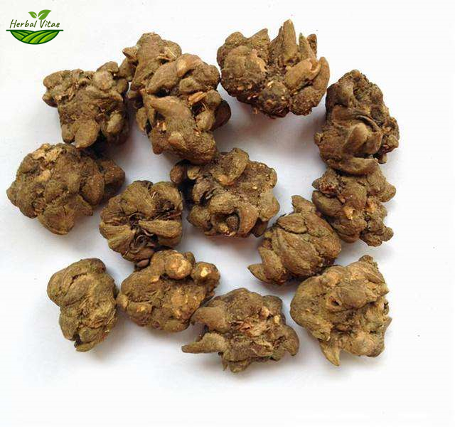Catclaw Buttercup Root