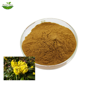 Berberis Aquifolium Extract Powder