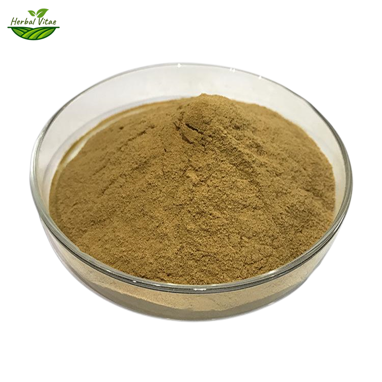 Astragalus Extract Powder 