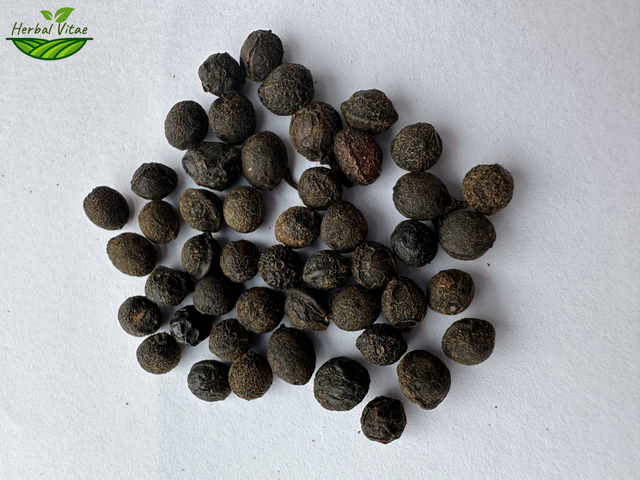 Piper Cubeba