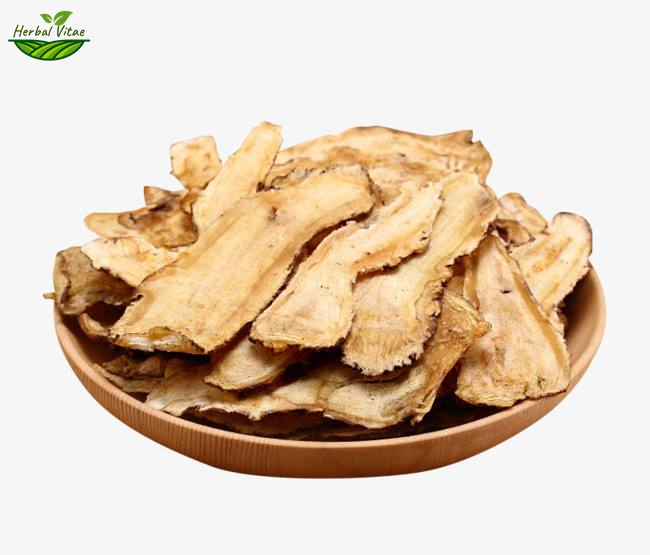Chinese Herb Angelica