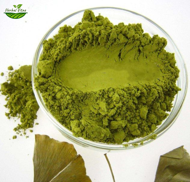 Ginkgo Leaf Powder