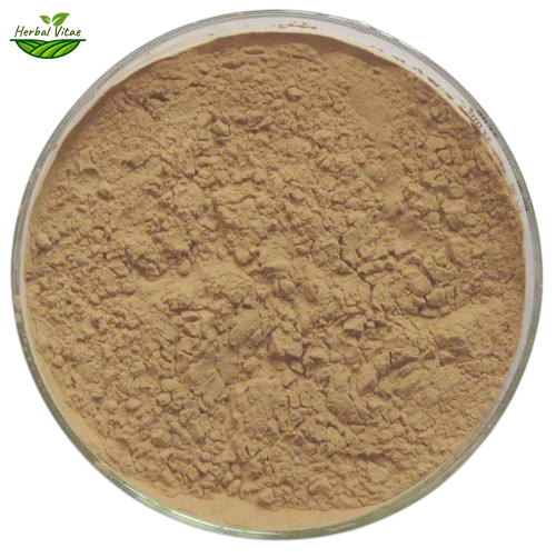 Andrographis Paniculata Extract Powder