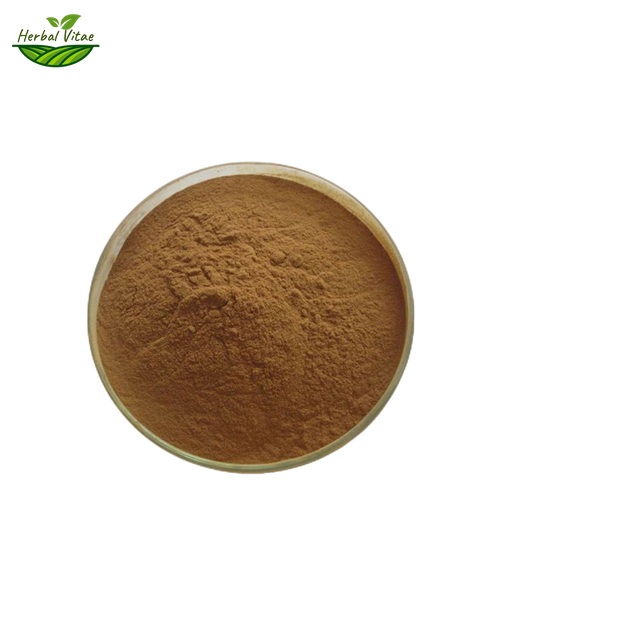 Reishi Mushroom Extract Powder