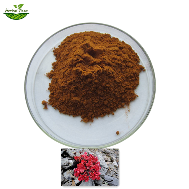 Rhodiola Rosea Extract Powder