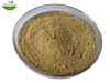 Red Clover Extract Powder 