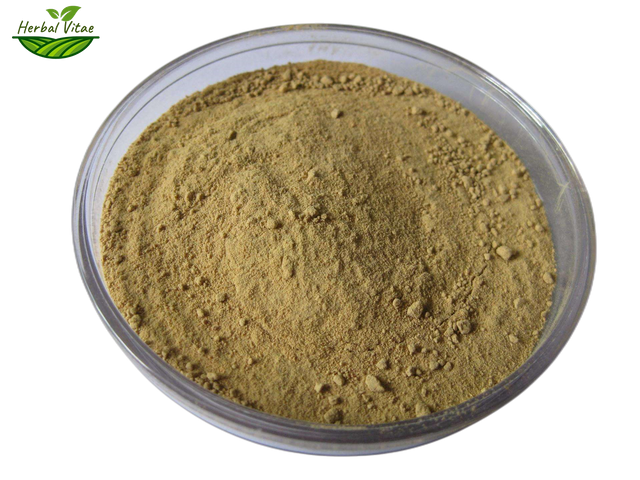 Red Clover Extract Powder 