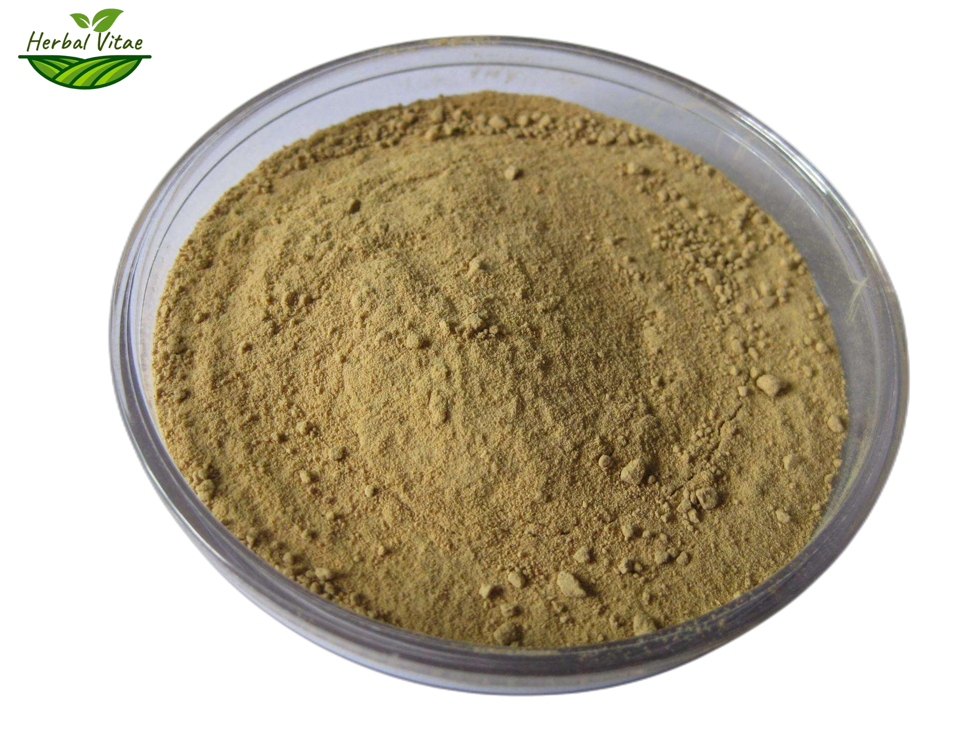 Red Clover Extract Powder 