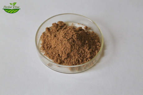 Milk Thistle Powder